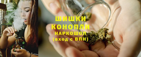 прущие грибы Богородицк
