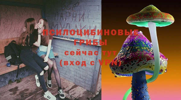 прущие грибы Богородицк