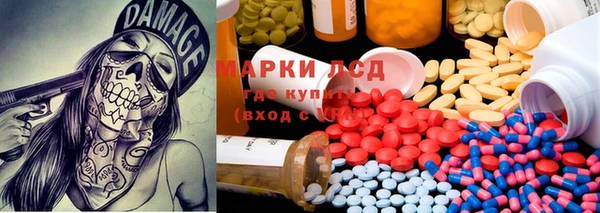 прущие грибы Богородицк