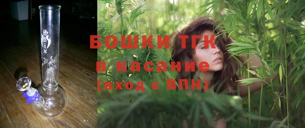 прущие грибы Богородицк
