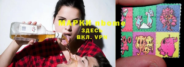 прущие грибы Богородицк